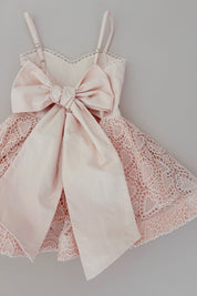 How Sweet It Is Dress - Ballet Pink Hearts Lace